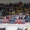 foppa scavo semi  021