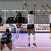 Spes - Modena ALBERGUCCI (126)