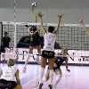 Spes - Modena ALBERGUCCI (127)