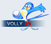 volly