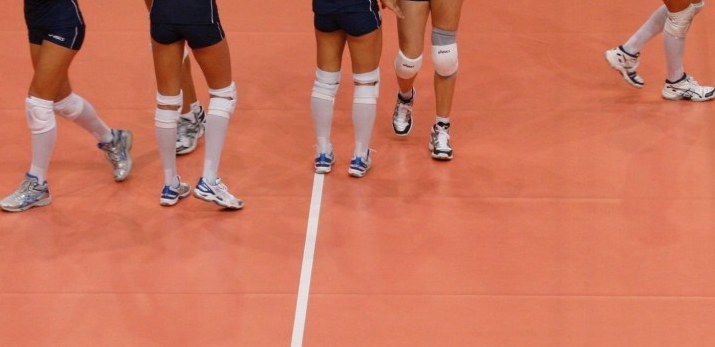 gambe
