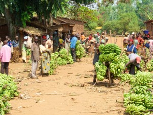burundi17
