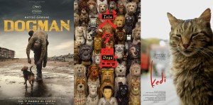 Isola dei cani-Dogman-Kedi-vivovolley-vivocult
